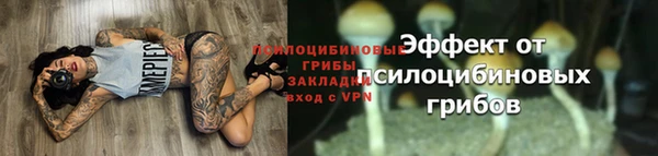 эйфоретик Кулебаки