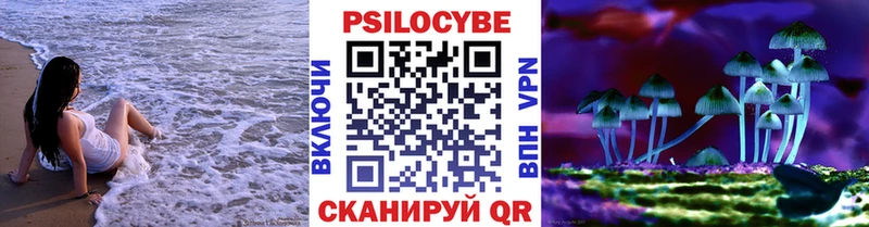 купить  сайты  ссылка на мегу tor  Псилоцибиновые грибы Magic Shrooms  Игарка 